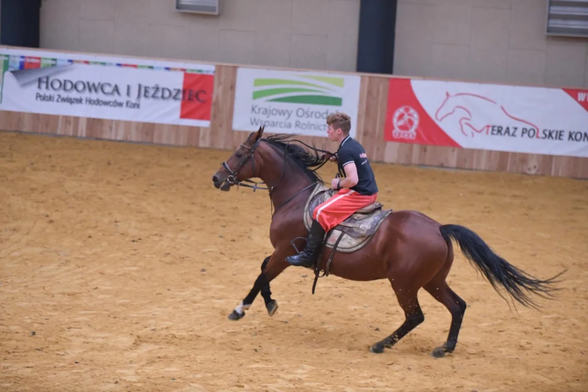 Hipologia i jeździectwo Poznań - Kluczowe informacje o studiach i rekrutacji