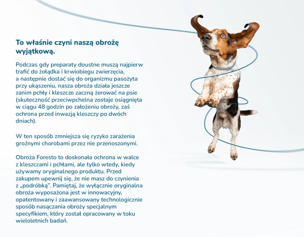 Skuteczne sposoby na pchły dla psa - uniknij problemów z infestacją