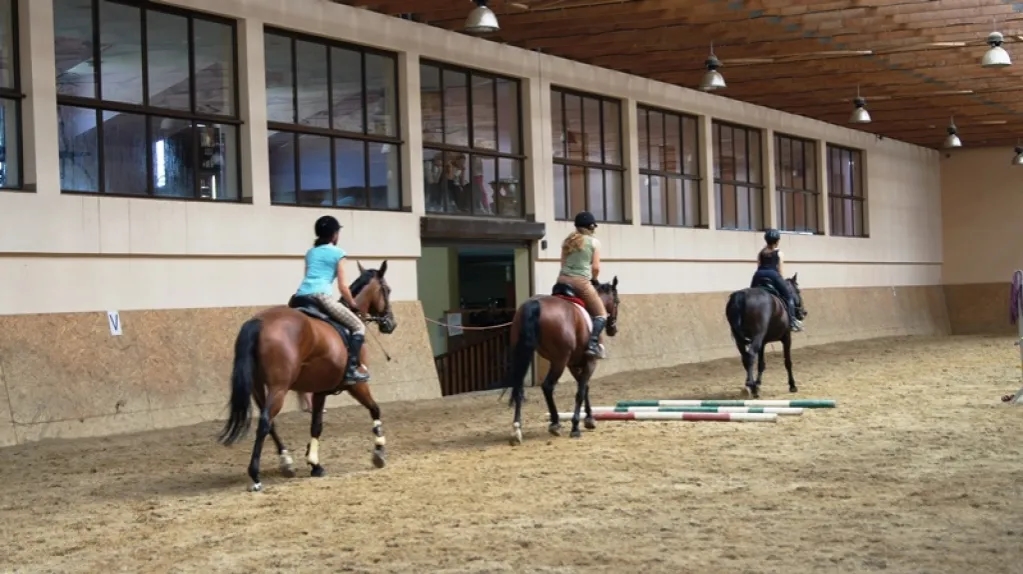 Dlaczego warto jeździć konno? Odkryj korzyści dla zdrowia i duszy