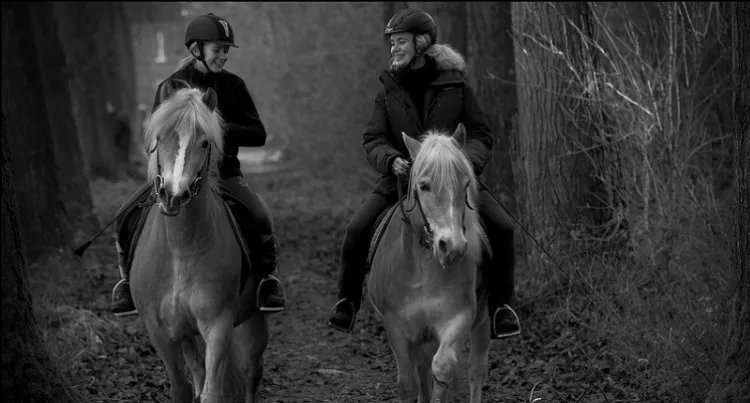 Dzierżawa konia: zasady, koszty i obowiązki, które musisz znać