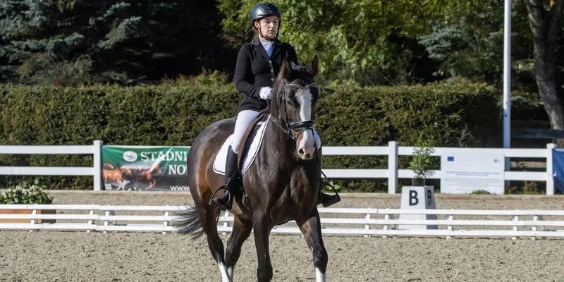 Historia jeździectwa konnego: od pradawnych czasów do współczesności