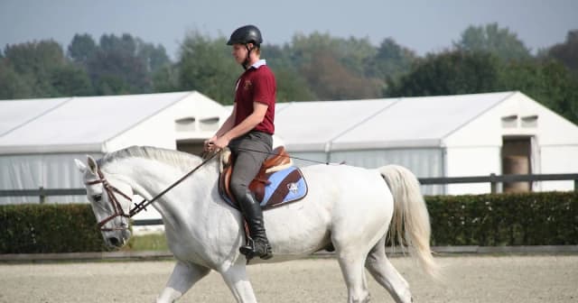 Ujeżdżalnia w stadninie: Klucz do sukcesu w jeździectwie i treningu