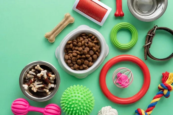 Wyprawka dla psa co kupić: niezbędne akcesoria, które warto mieć